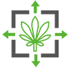 supercritical co2 extracted cbd